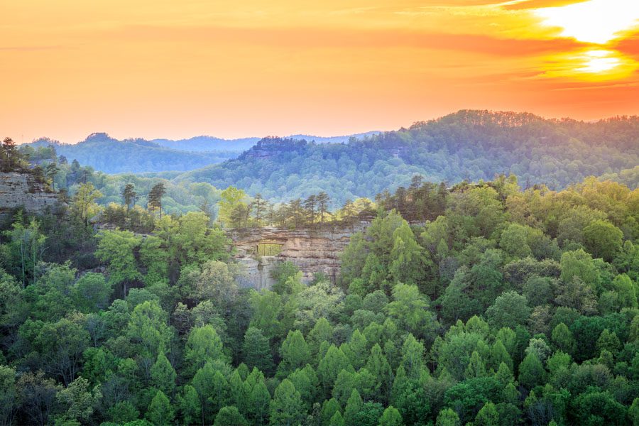 Contact Us - View of Daniel Boone National Forest in Kentucky with a Sunset